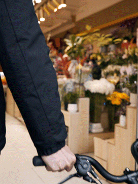 [2025-01-16]领新春红包和BROMPTON一起过年