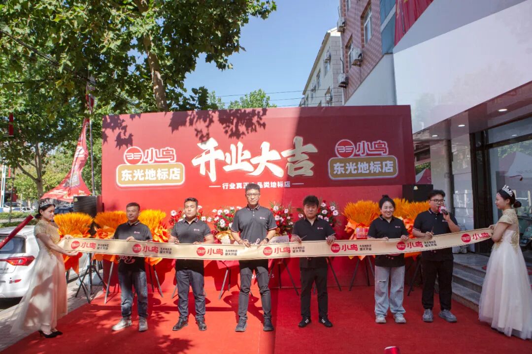 [2024-06-27]小鸟步新布局不凡