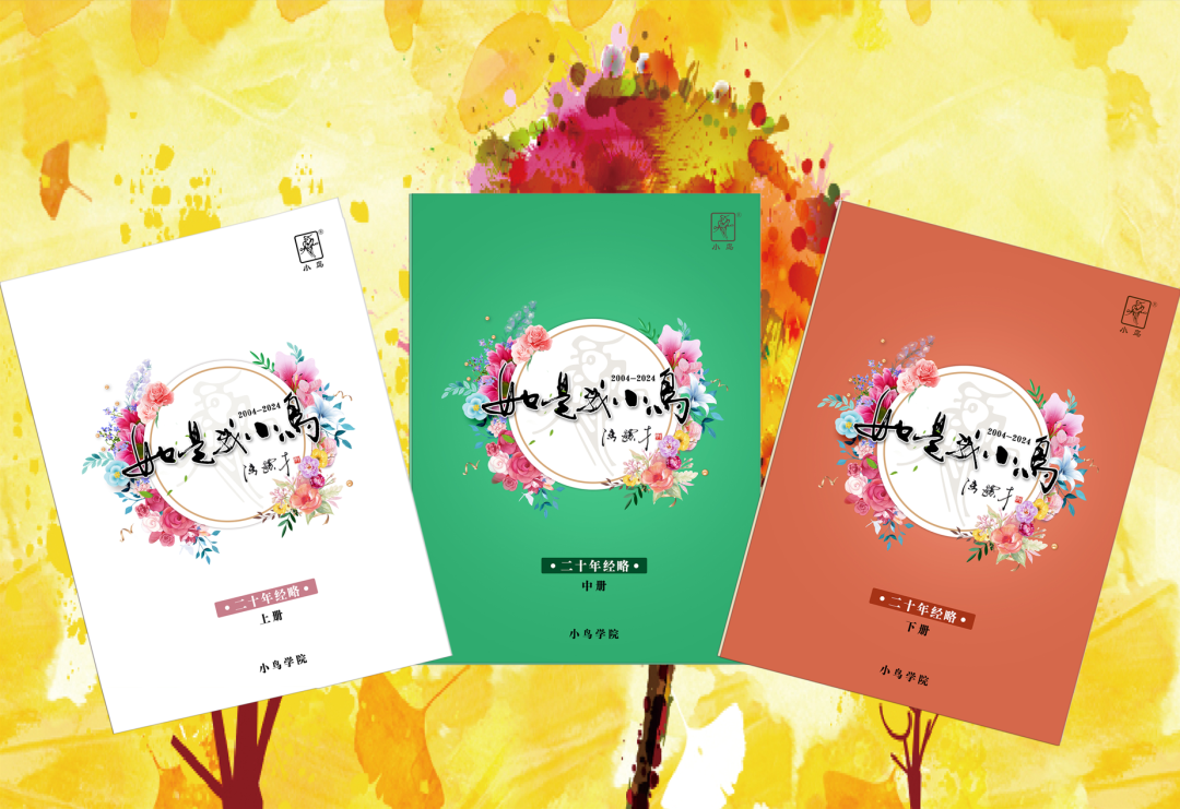 [2024-12-30]2024小鸟大事记