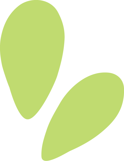 [2025-05-30]守护蔚蓝海岸铃木中国携手华东师范大学开展quot净滩行动quot