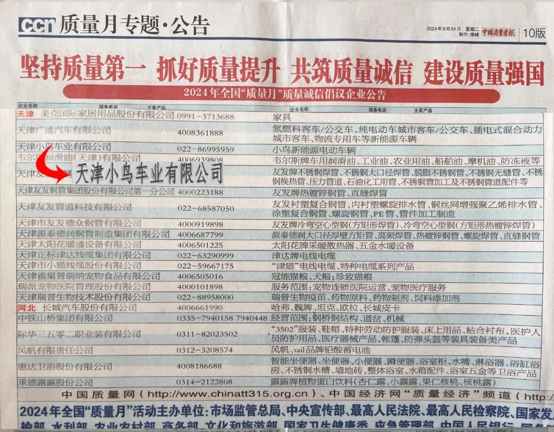 [2024-09-29]小鸟的执着