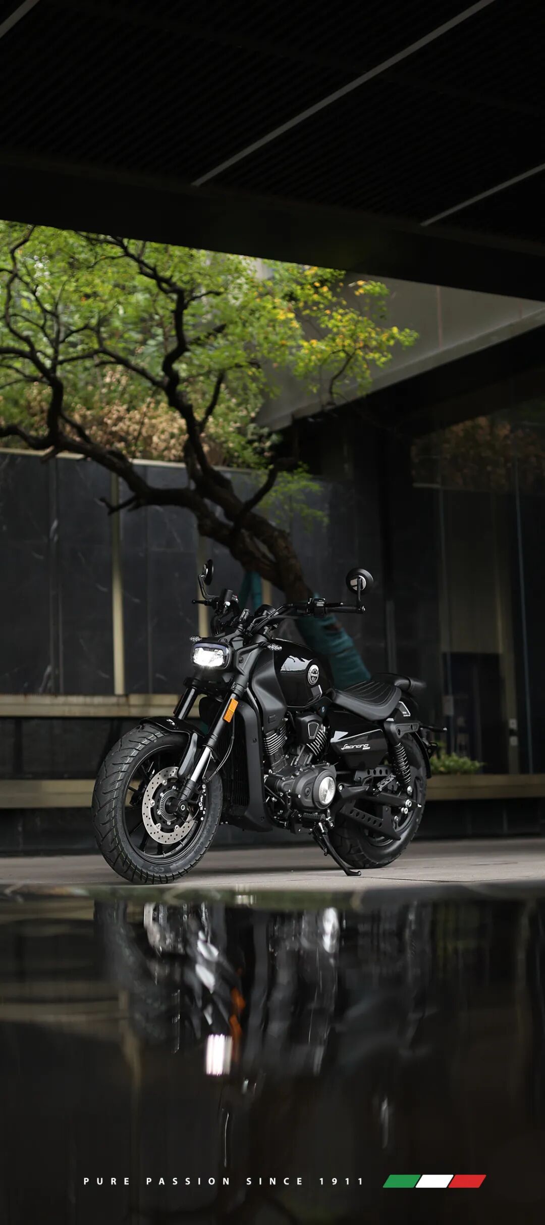 [2025-03-06]3月壁纸唤醒春日公路美学