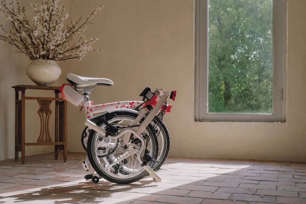 [2025-03-06]和她一起出门找春天