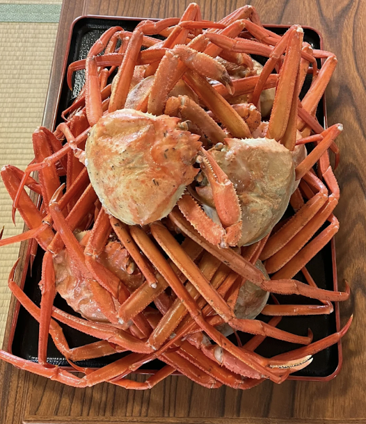 [2025-08-07]BROSHOP邀你共赴鸟取骑遇山海