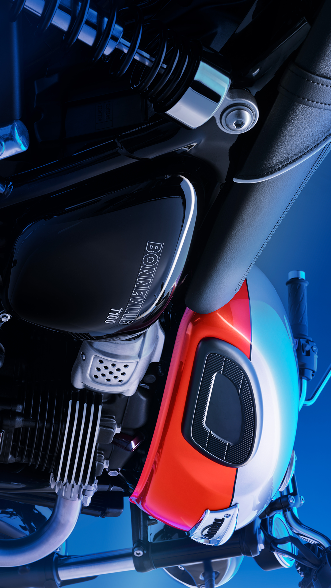 [2024-06-08]凯旋流行色指南