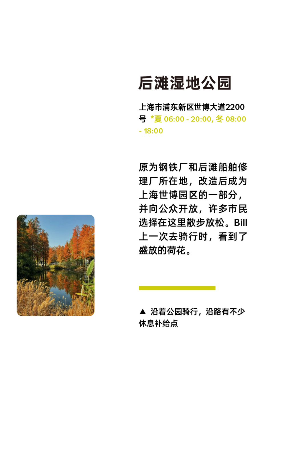 [2024-10-08]上海骑行的3种打开方式拾荒养老逛游乐场