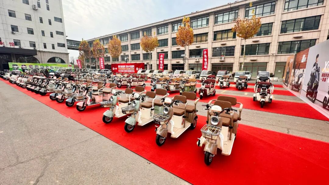 [2024-11-27]发挥优势巩固北方