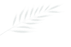 近期青海湖实拍5天4晚仅需1499秋天的青海湖依然很美