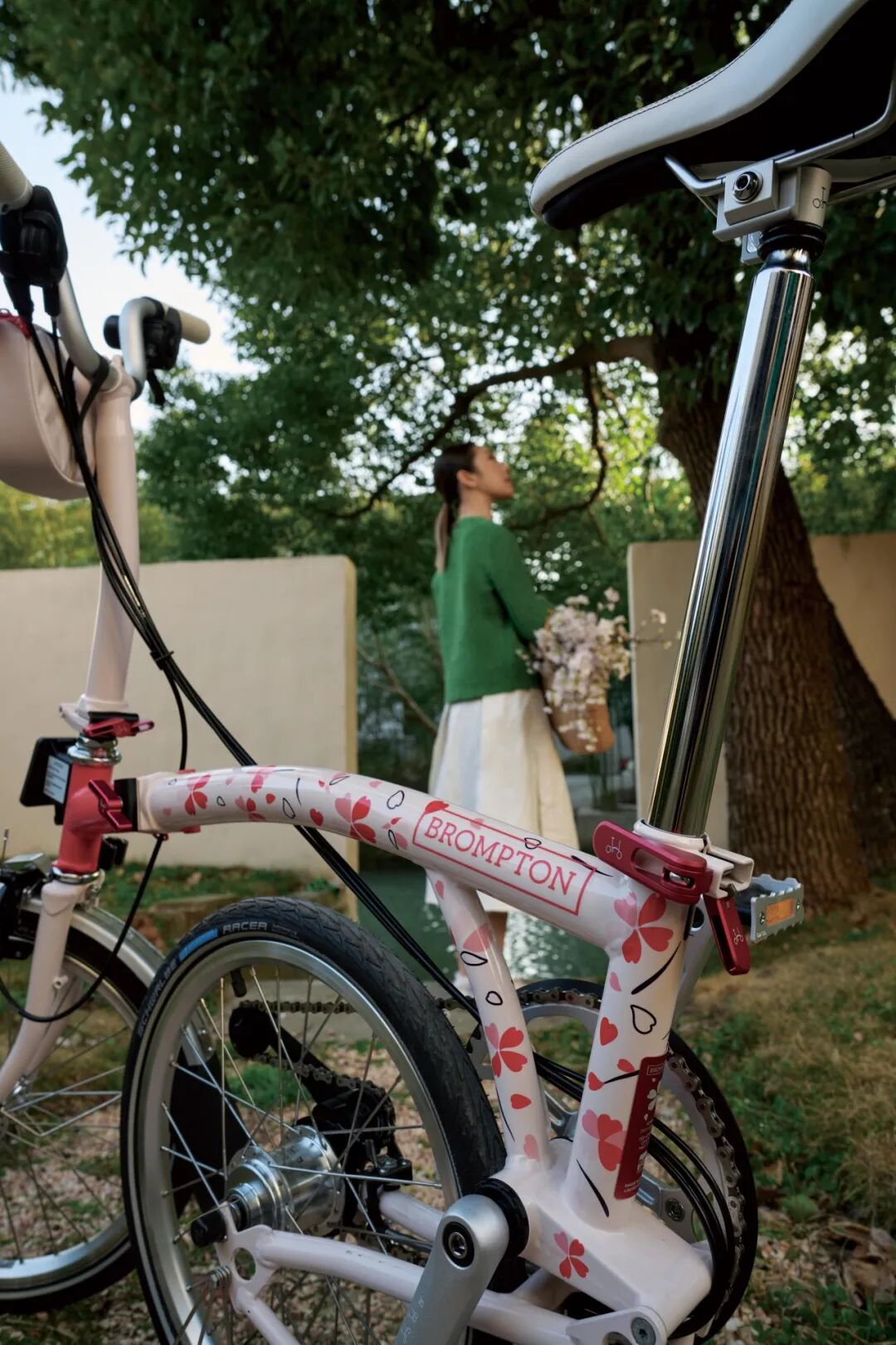 [2025-02-27]迎接樱花季需要准备什么