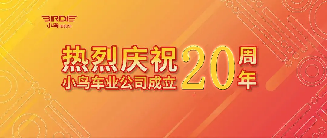 [2024-12-30]2024小鸟大事记