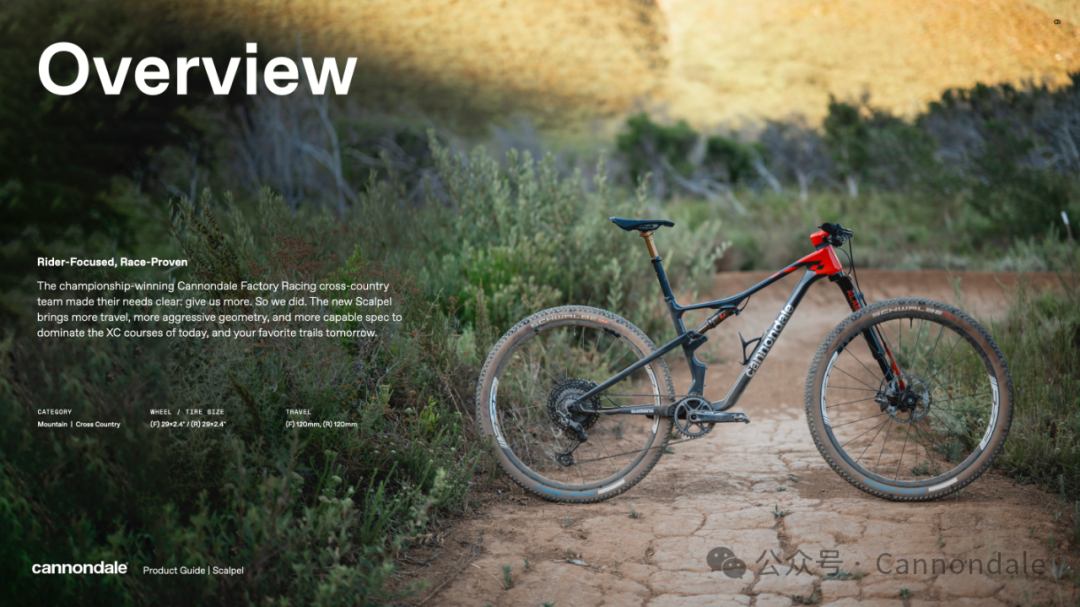 Scalpel一直在最前沿