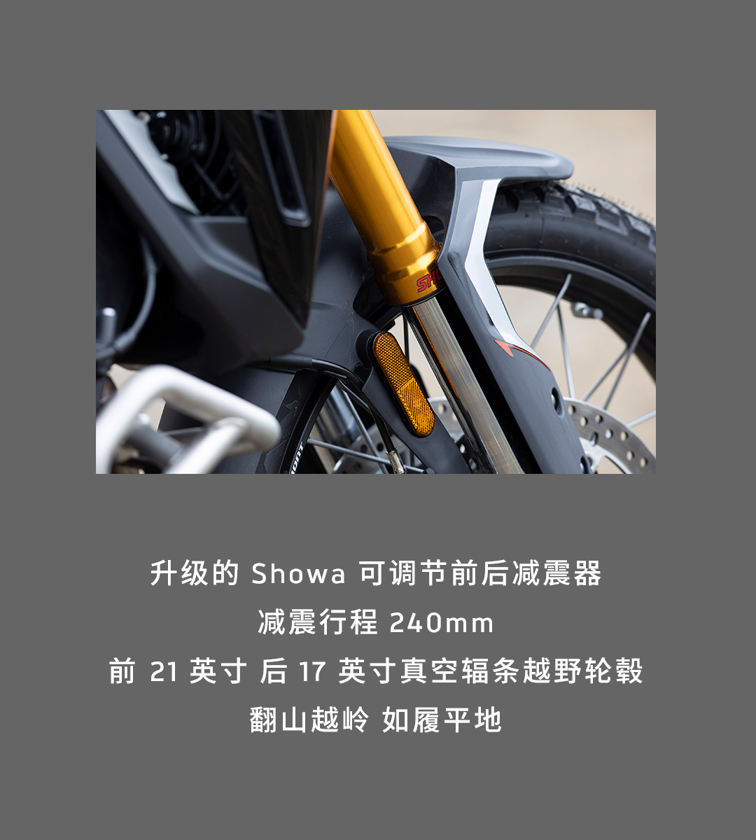 [2025-01-17]鉴虎图Tiger家族全揭秘