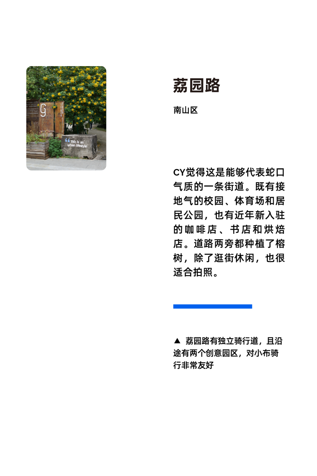 [2024-11-28]用骑行丈量生活在快与慢之间寻找深圳节奏