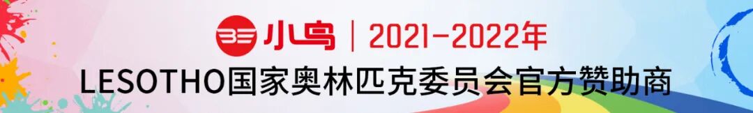 小鸟什么能13年持续领先