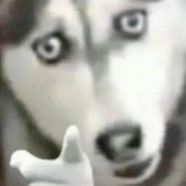 [2025-04-02]TechTalk百度导航投屏指南为九号用户首发定制