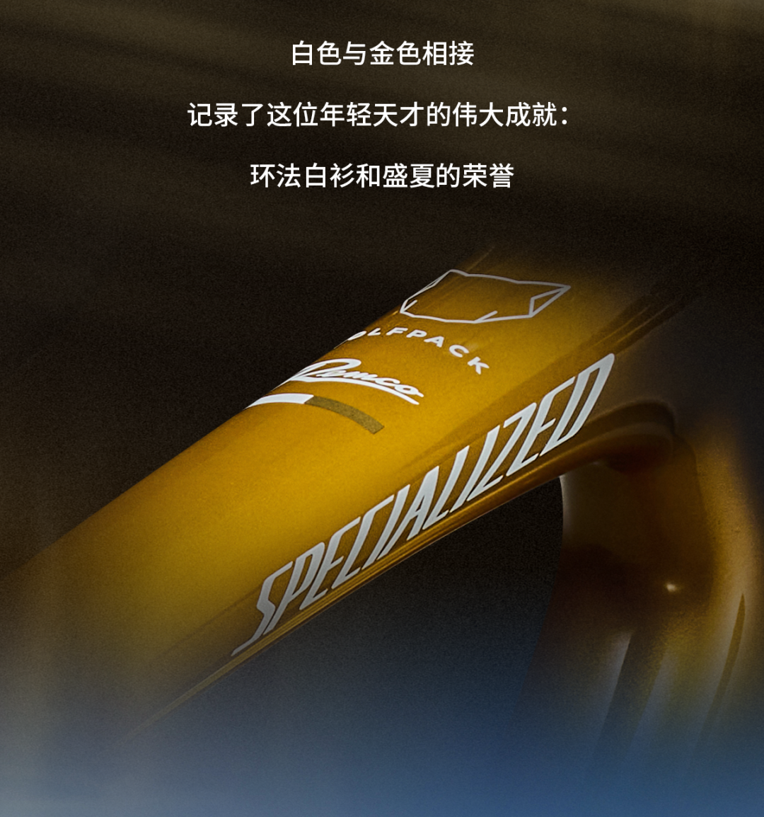 [2025-05-07]冠世金甲SWORKSTARMACSL8REMCO黄金限量版