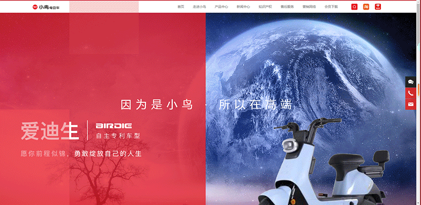 小鸟官网变脸了