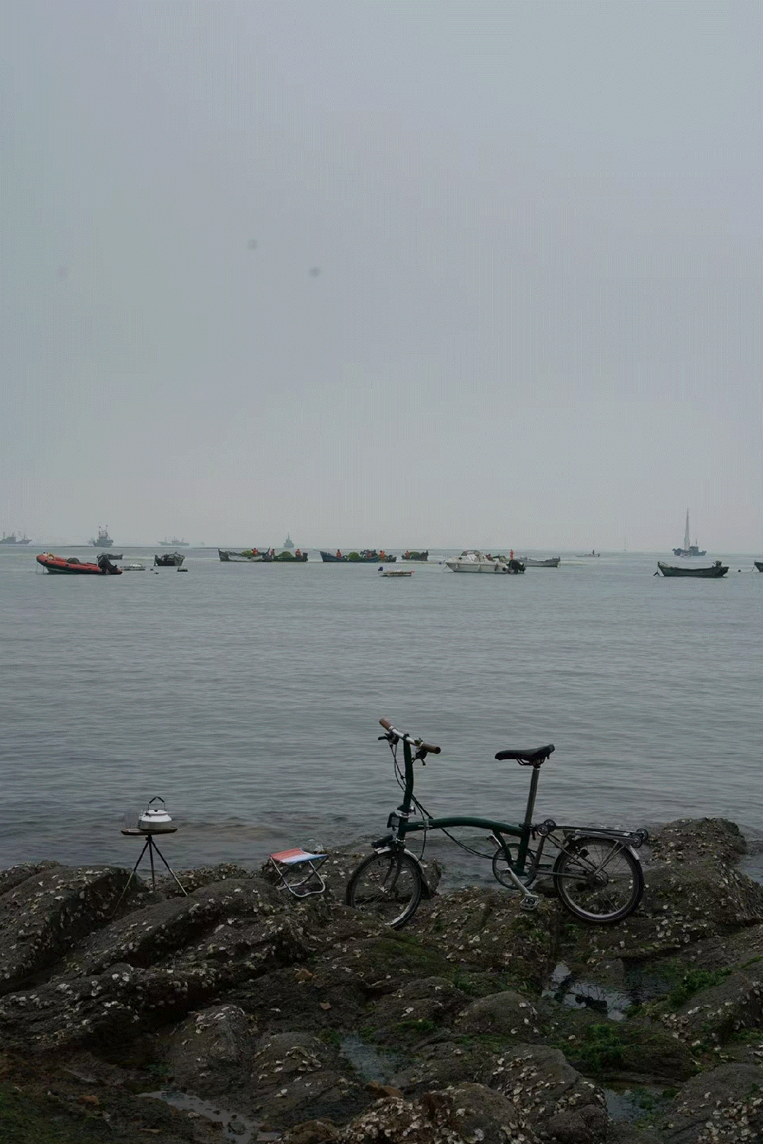 [2024-11-28]用骑行丈量生活在快与慢之间寻找深圳节奏