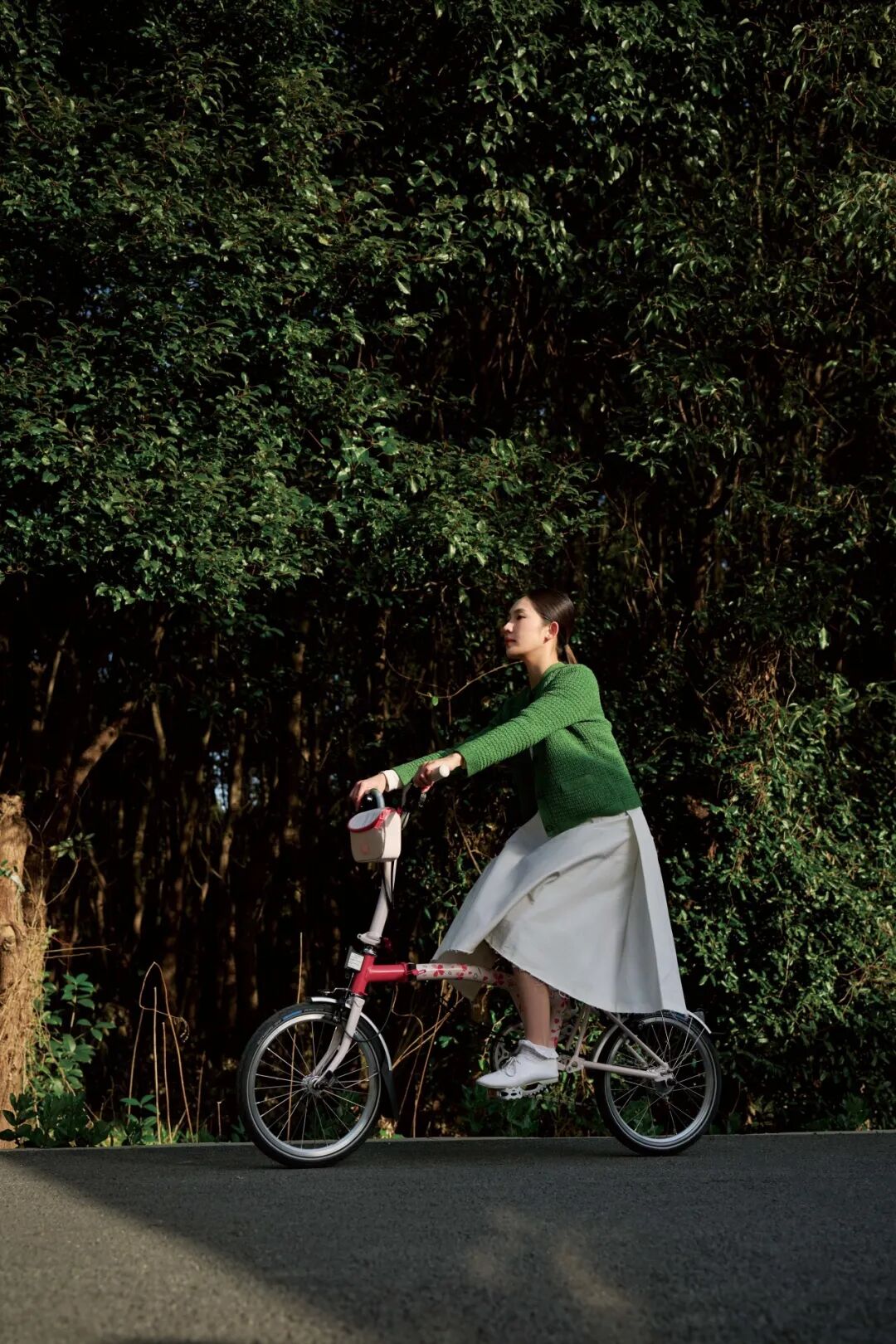 [2025-02-27]迎接樱花季需要准备什么