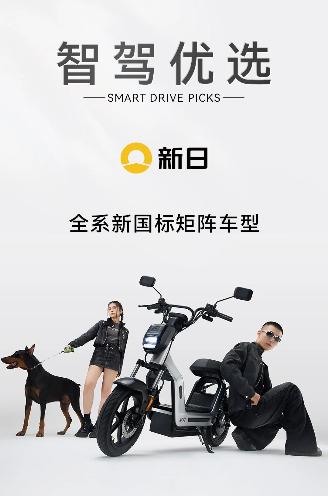 [2025-10-20]所有人新日全系新国标车型矩阵