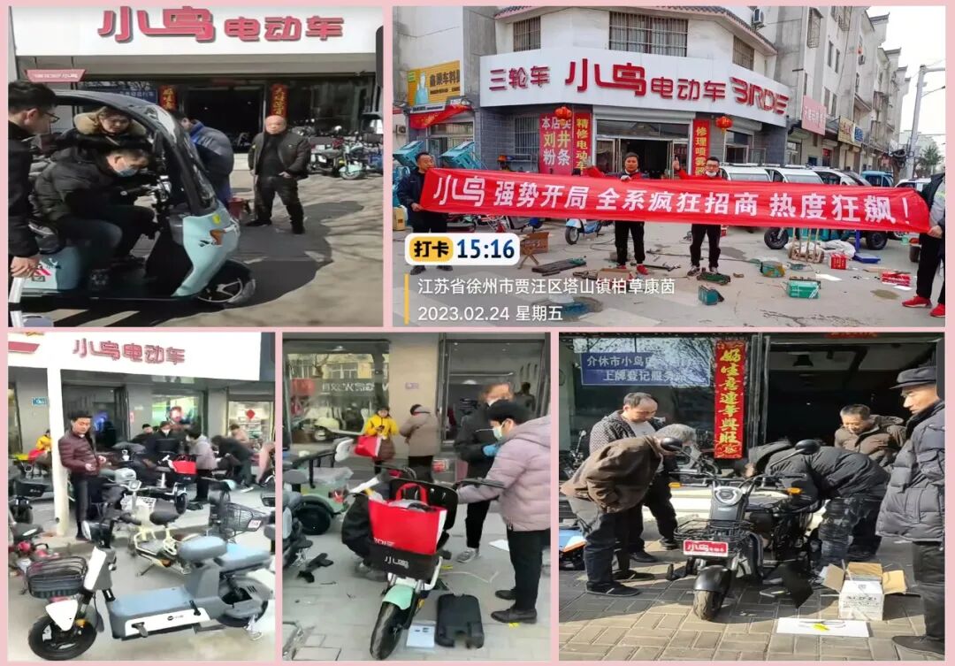 2023小鸟一路春天里