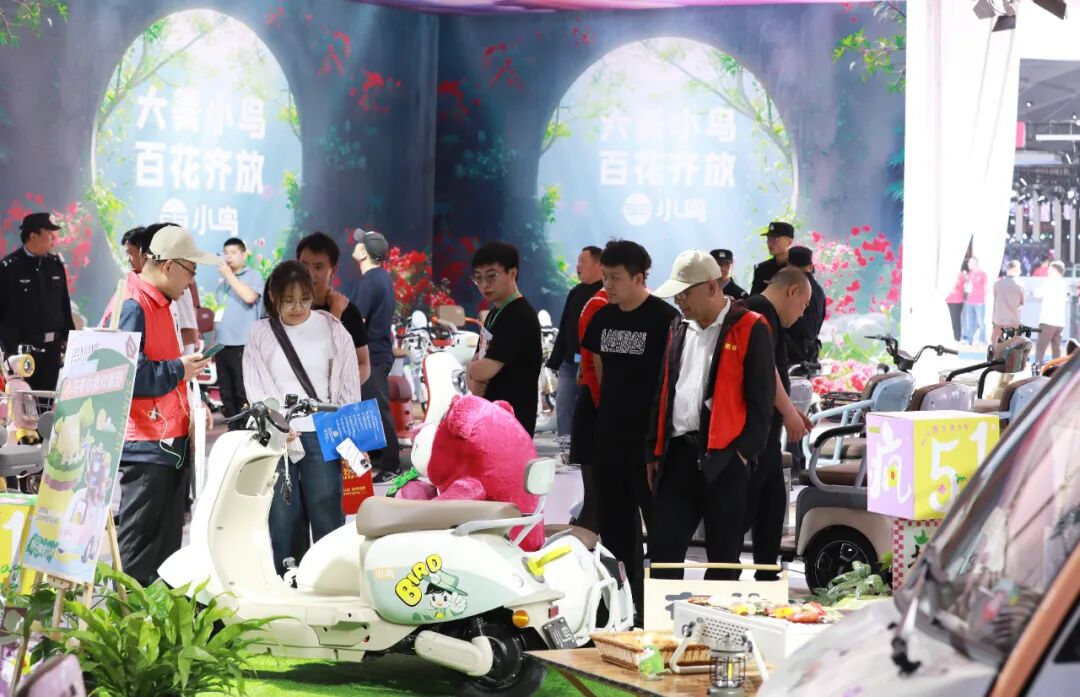 [2024-04-25]小鸟拉风丰县展