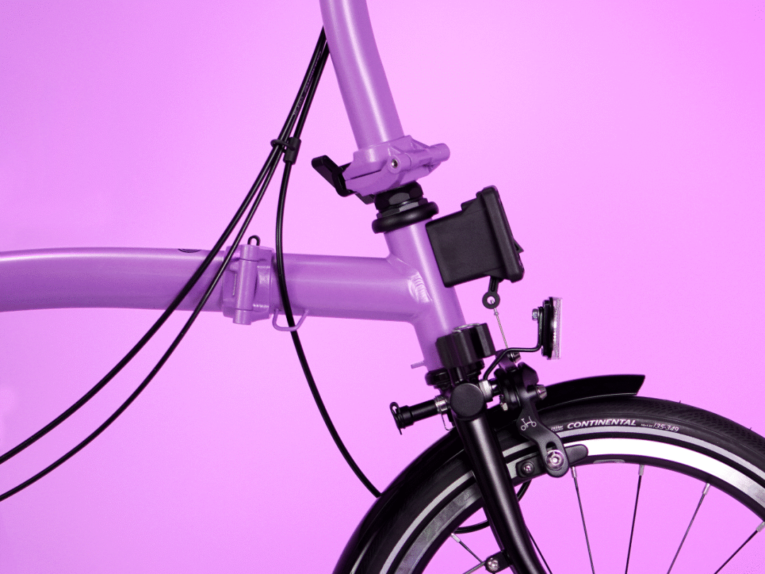 [2024-04-10]神秘的个性的活泼的