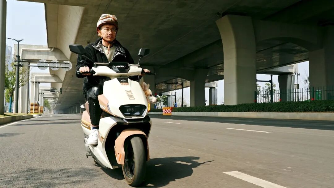 了不起的最佳拍档还得是TA