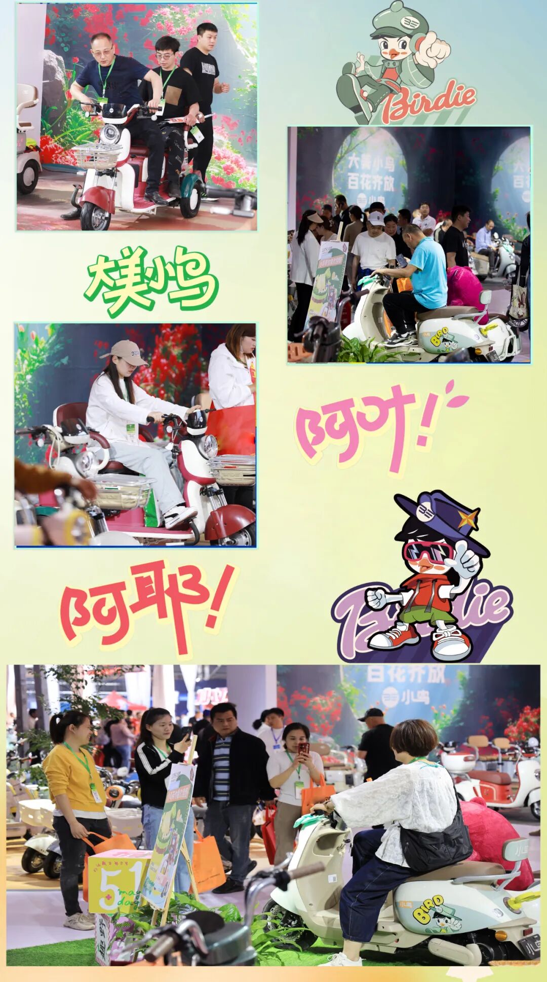 [2024-04-25]小鸟拉风丰县展