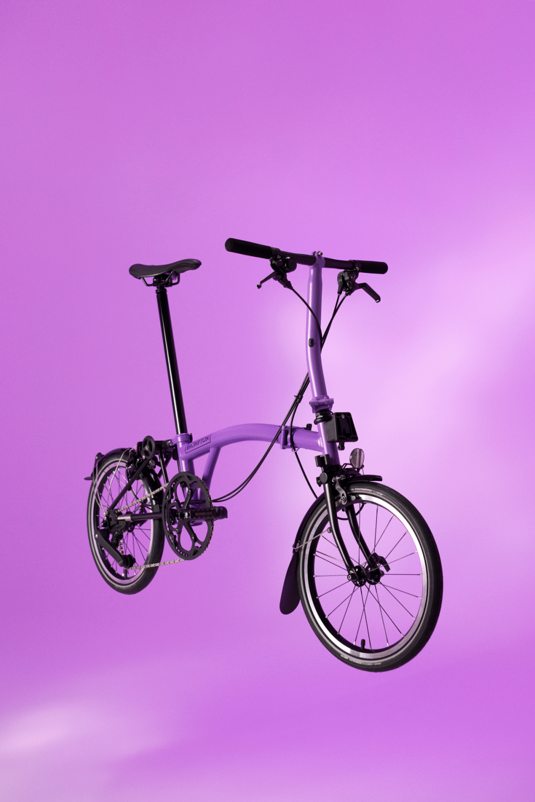 [2024-04-10]神秘的个性的活泼的