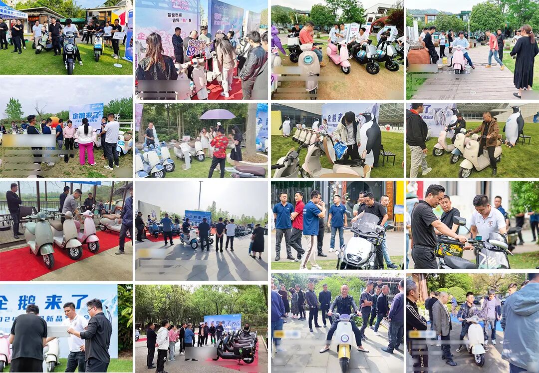 新品售罄秘术大曝光