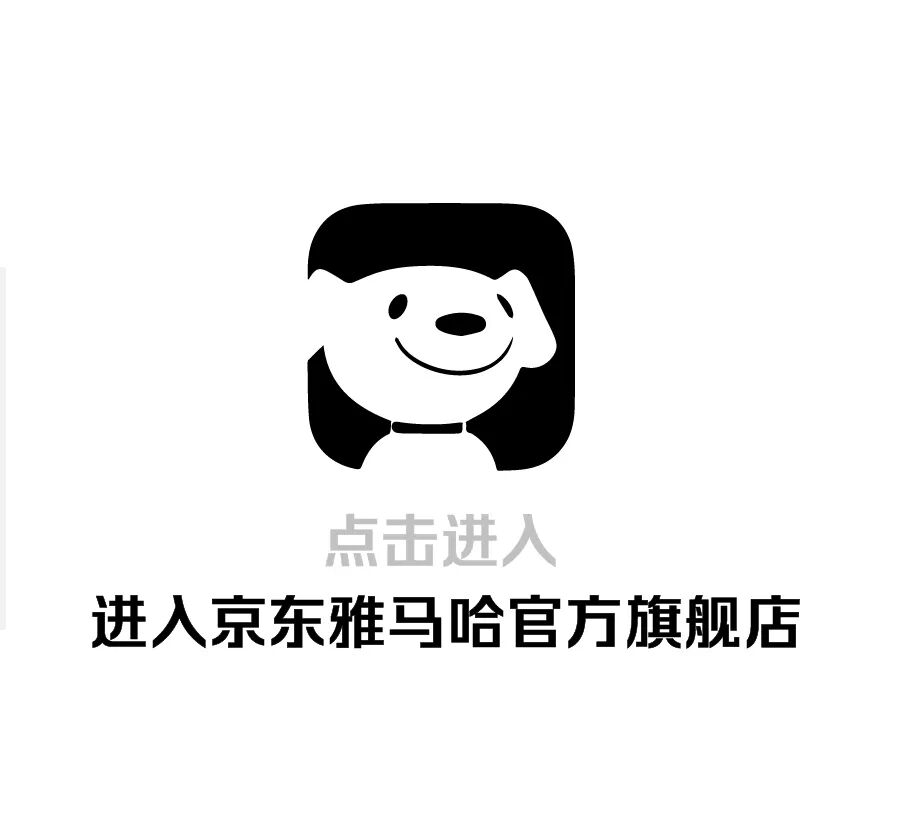 [2022-11-10]能文能武的NMAX车主是你吗