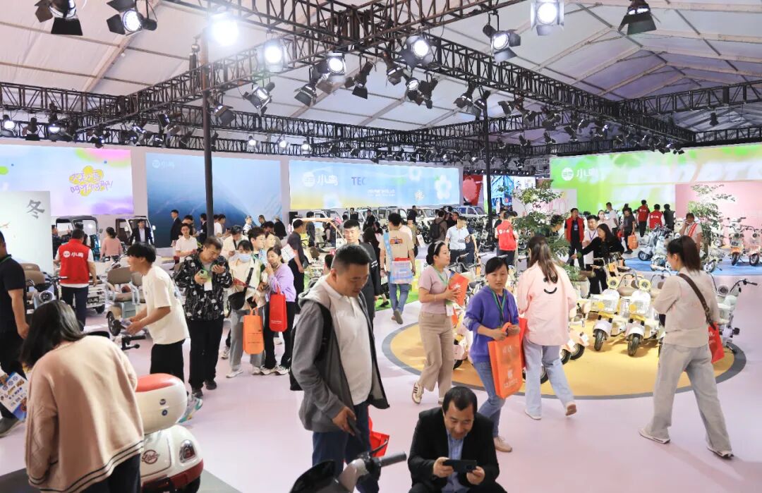 [2024-04-25]小鸟拉风丰县展