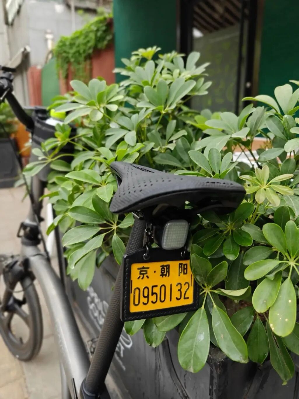 [2024-10-24]到底要不要买TLine听听布友们怎么说