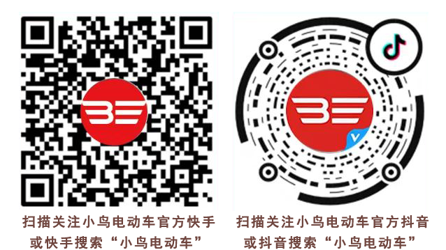 2023小鸟一路春天里