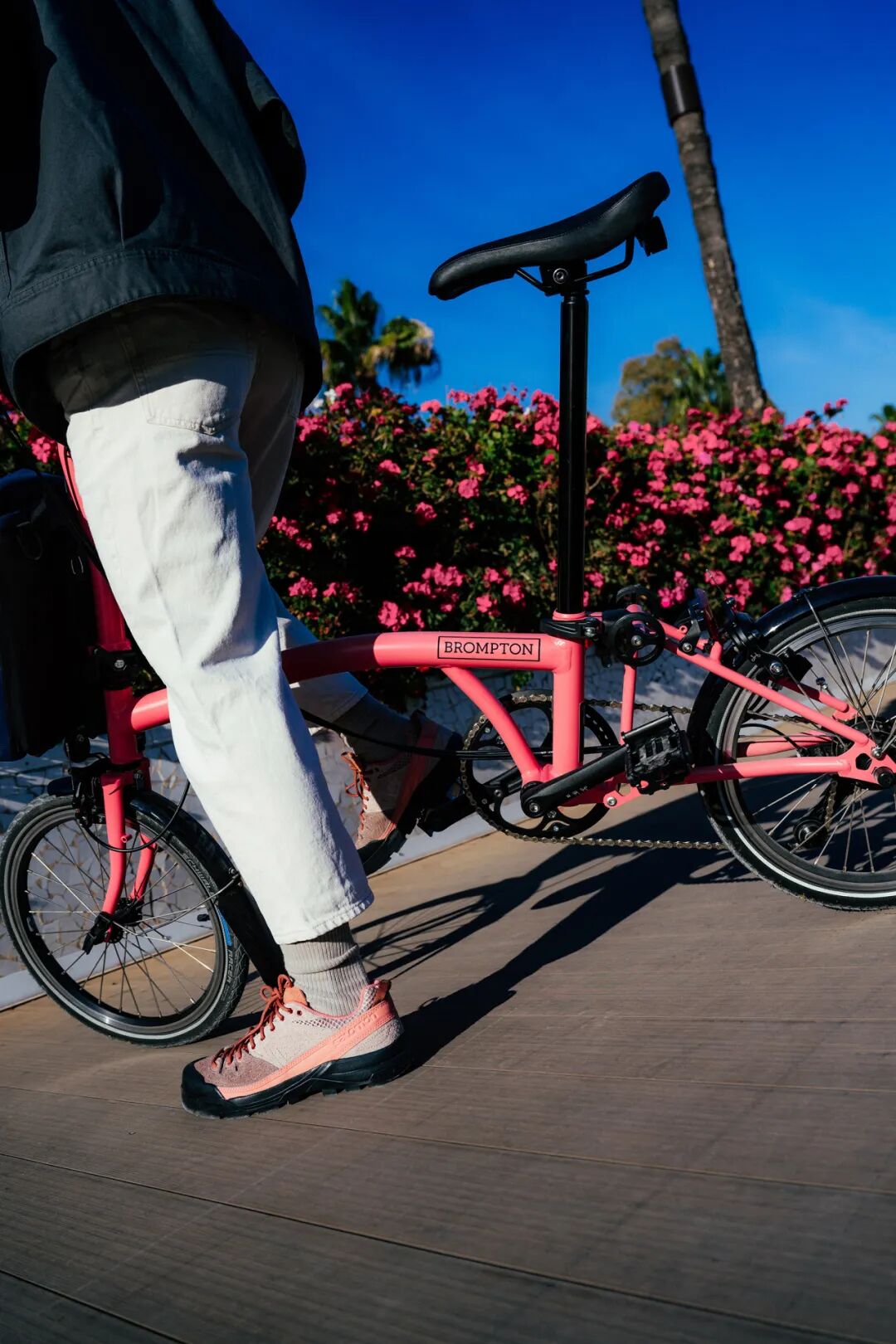 [2025-03-04]改变不止颜色