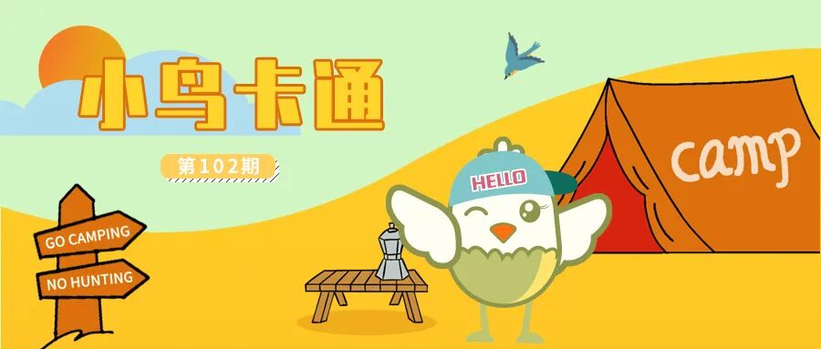 大美小鸟七彩云南温暖行