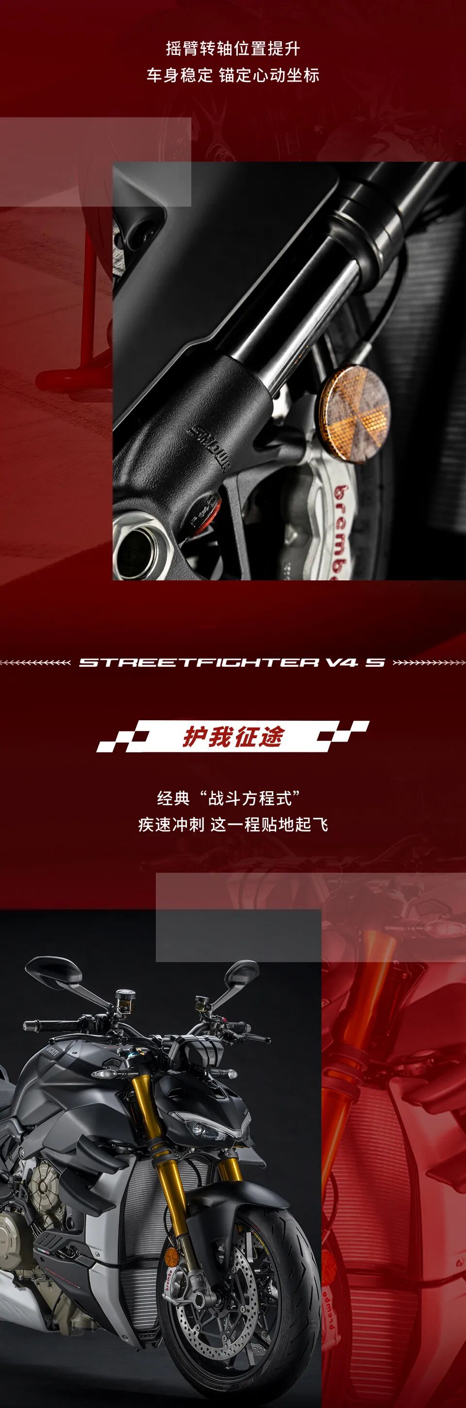 [2024-06-17]驰骋旷野霸气十足