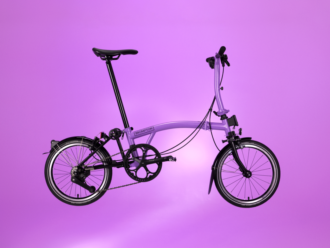 [2024-04-10]神秘的个性的活泼的