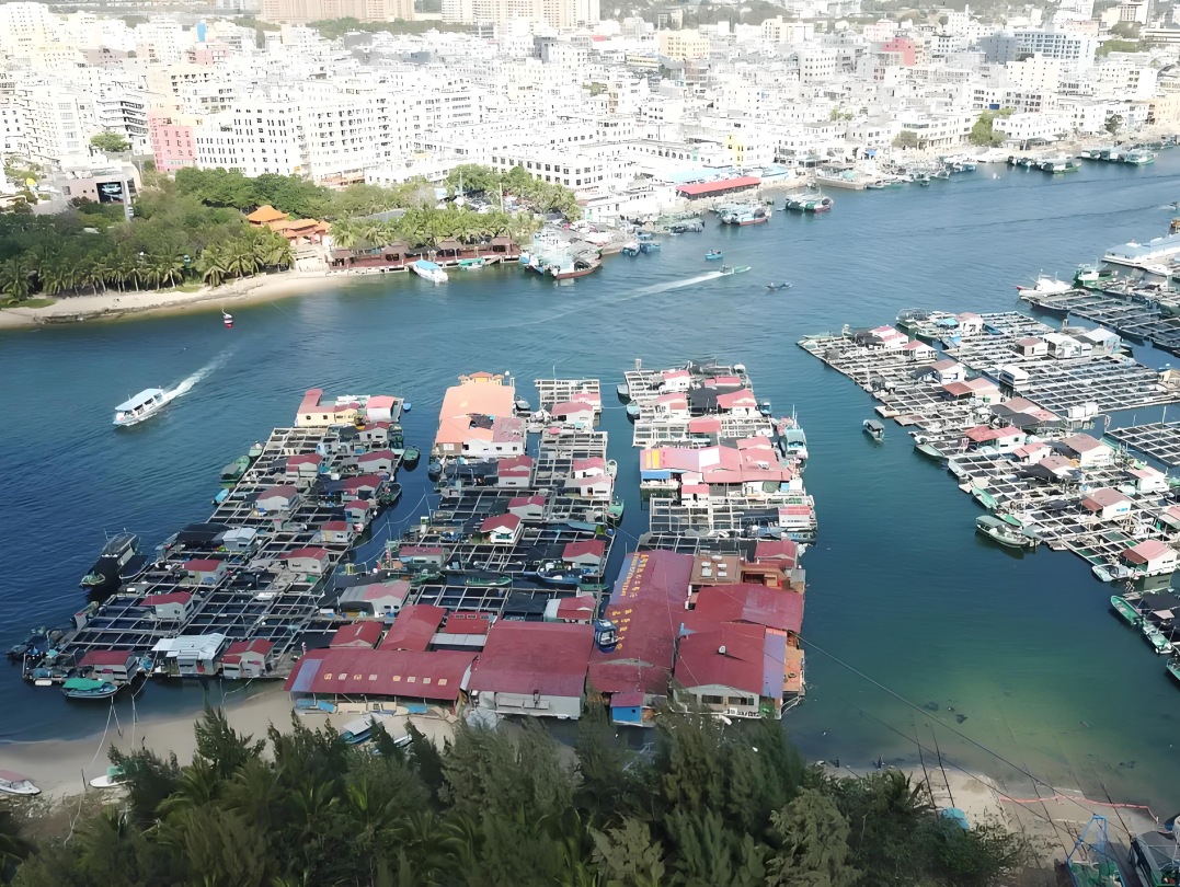 [2025-01-03]新年第一场骑车冒险去狮城槟城和海南过冬天