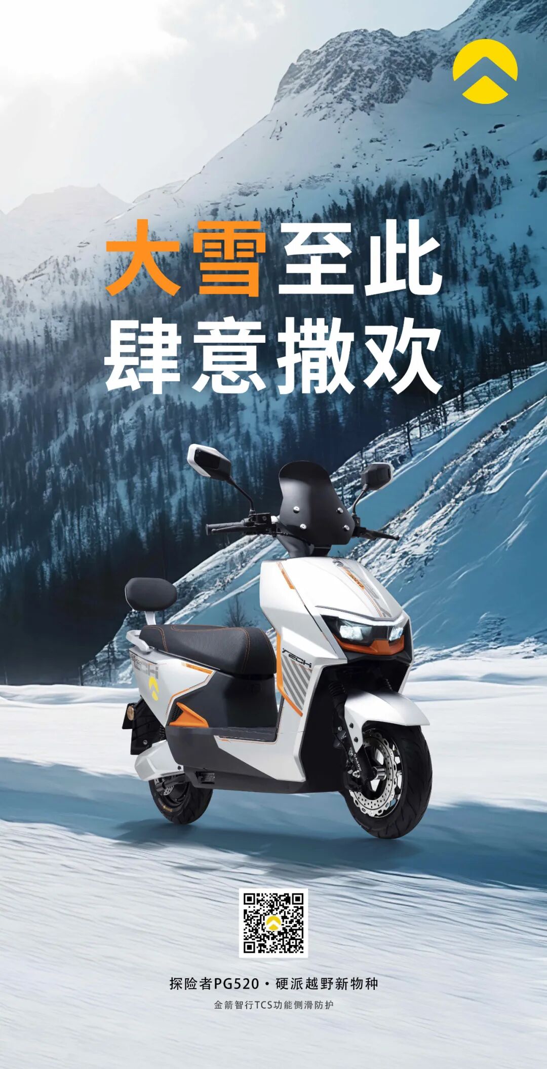 大雪至此I肆意撒欢