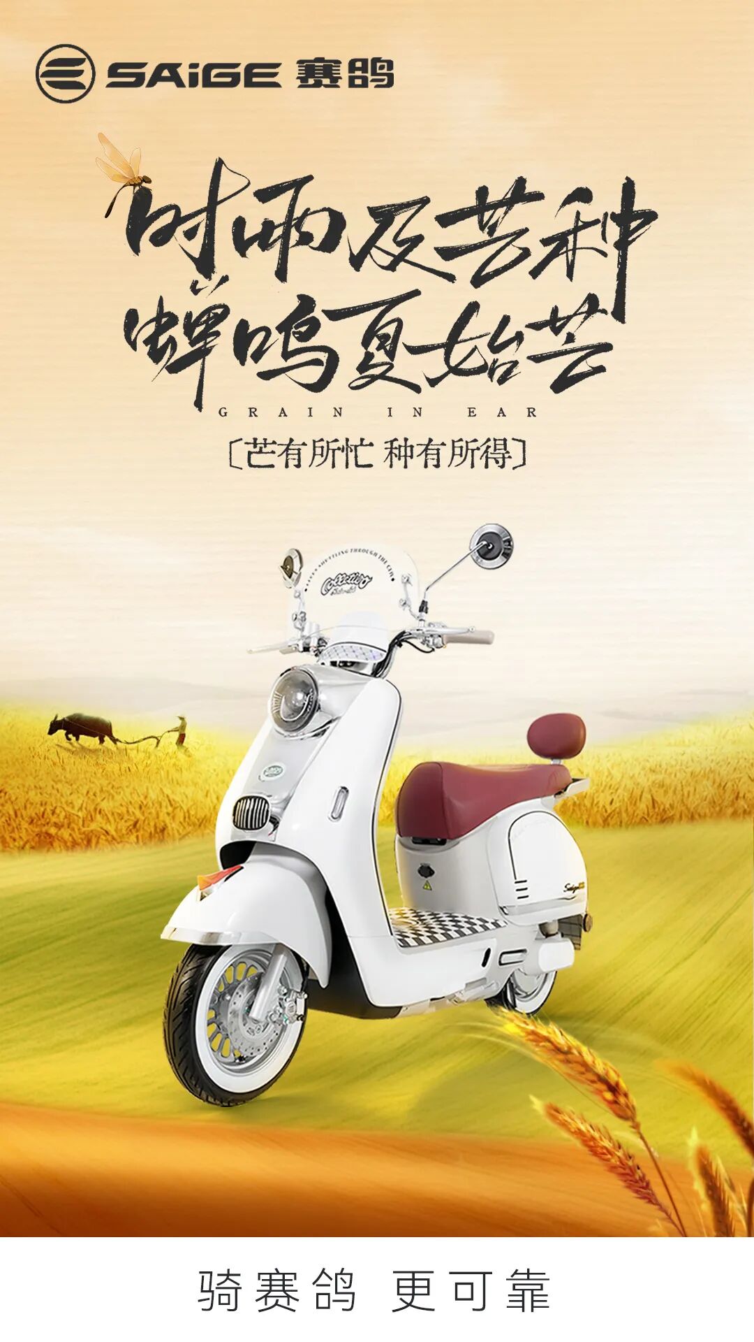 [2025-06-05]芒种麦浪涌蝉声催夏行