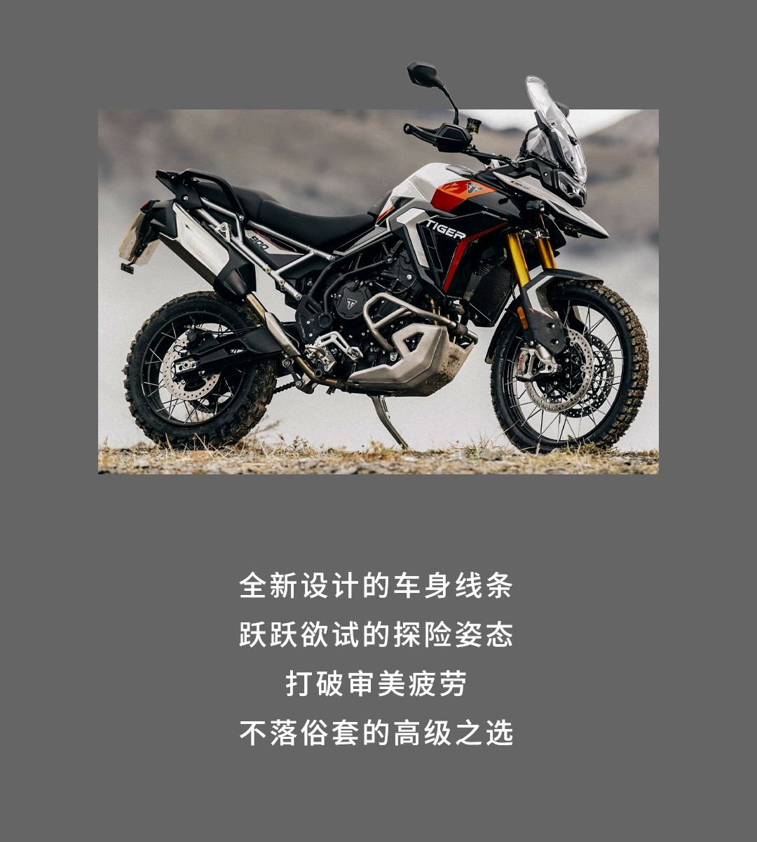 [2025-01-17]鉴虎图Tiger家族全揭秘