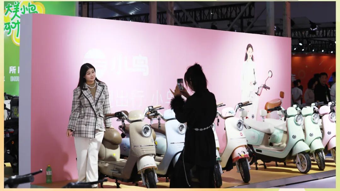 [2024-04-25]小鸟拉风丰县展