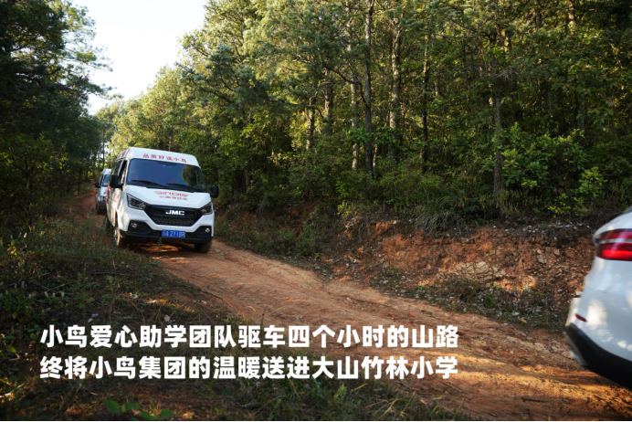 大美小鸟七彩云南温暖行