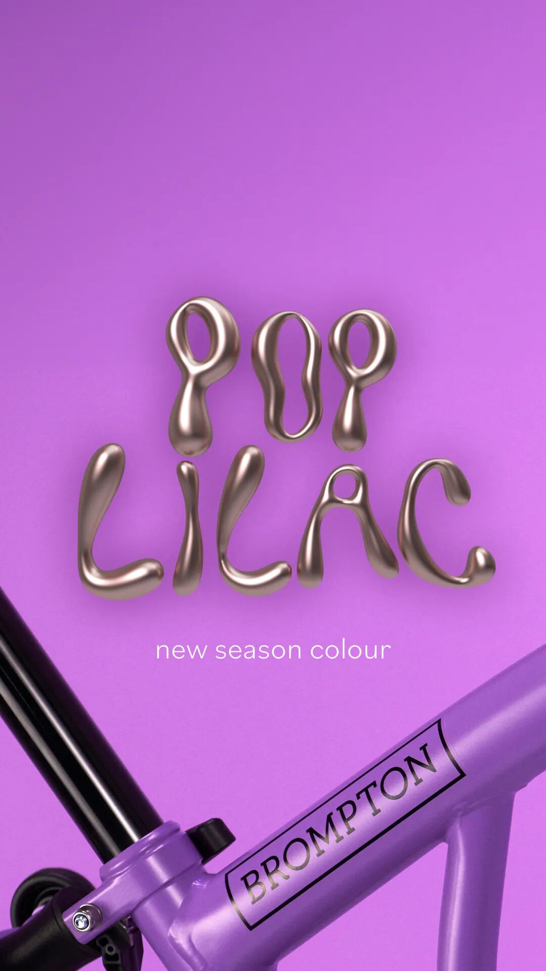 [2024-04-10]神秘的个性的活泼的