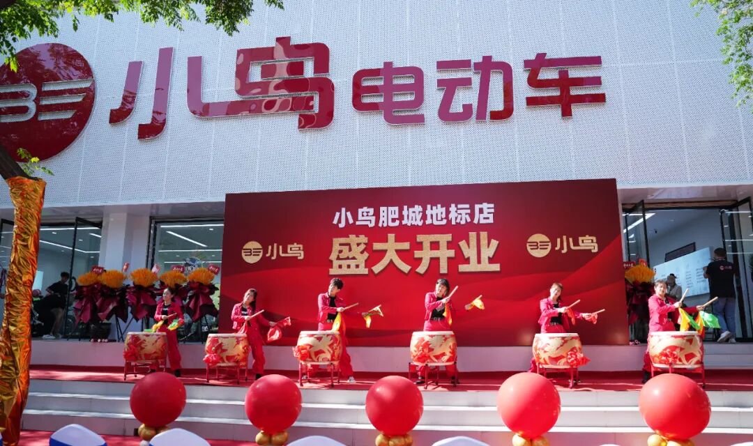 大美小鸟大美终端