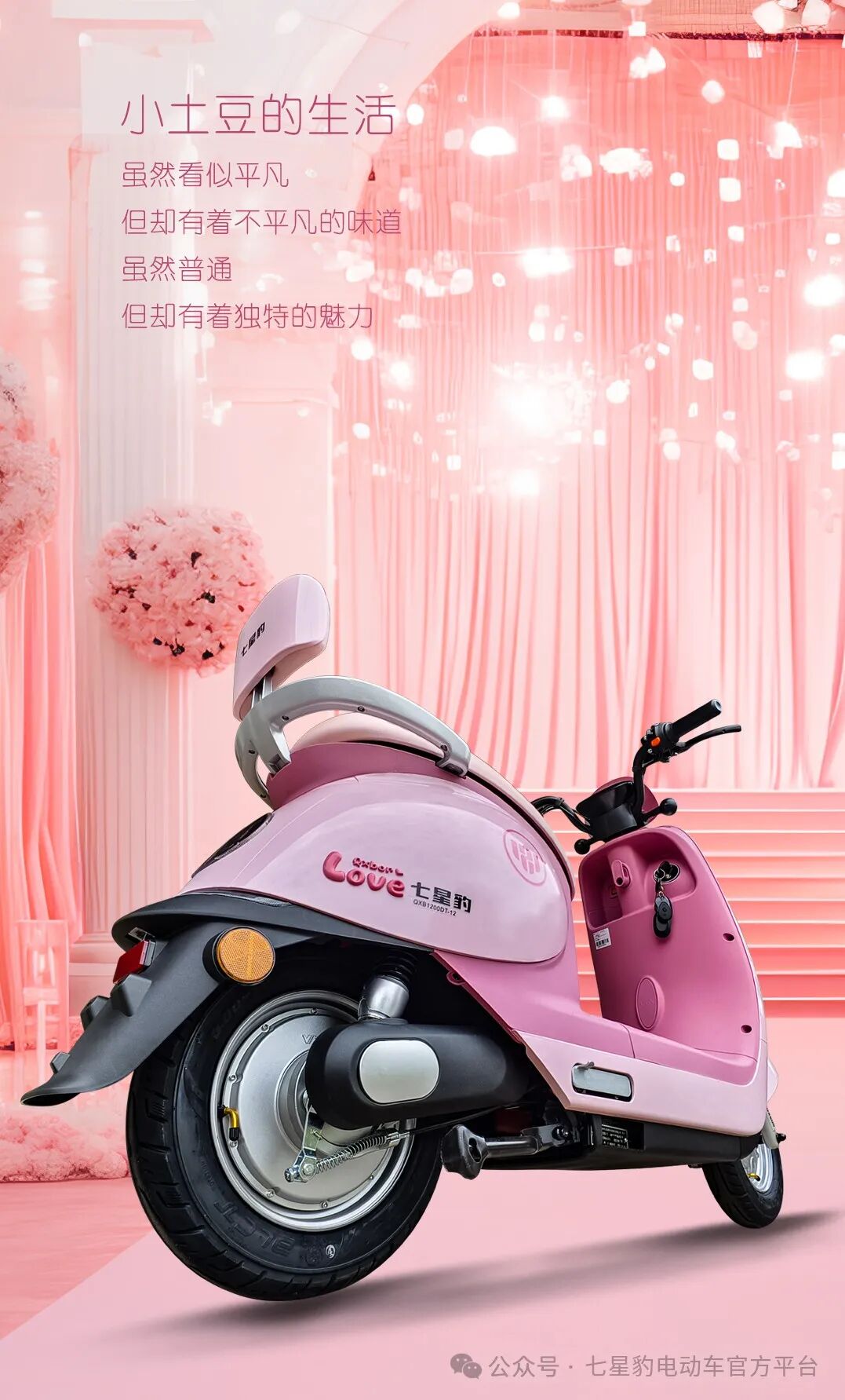 小土豆优雅启程