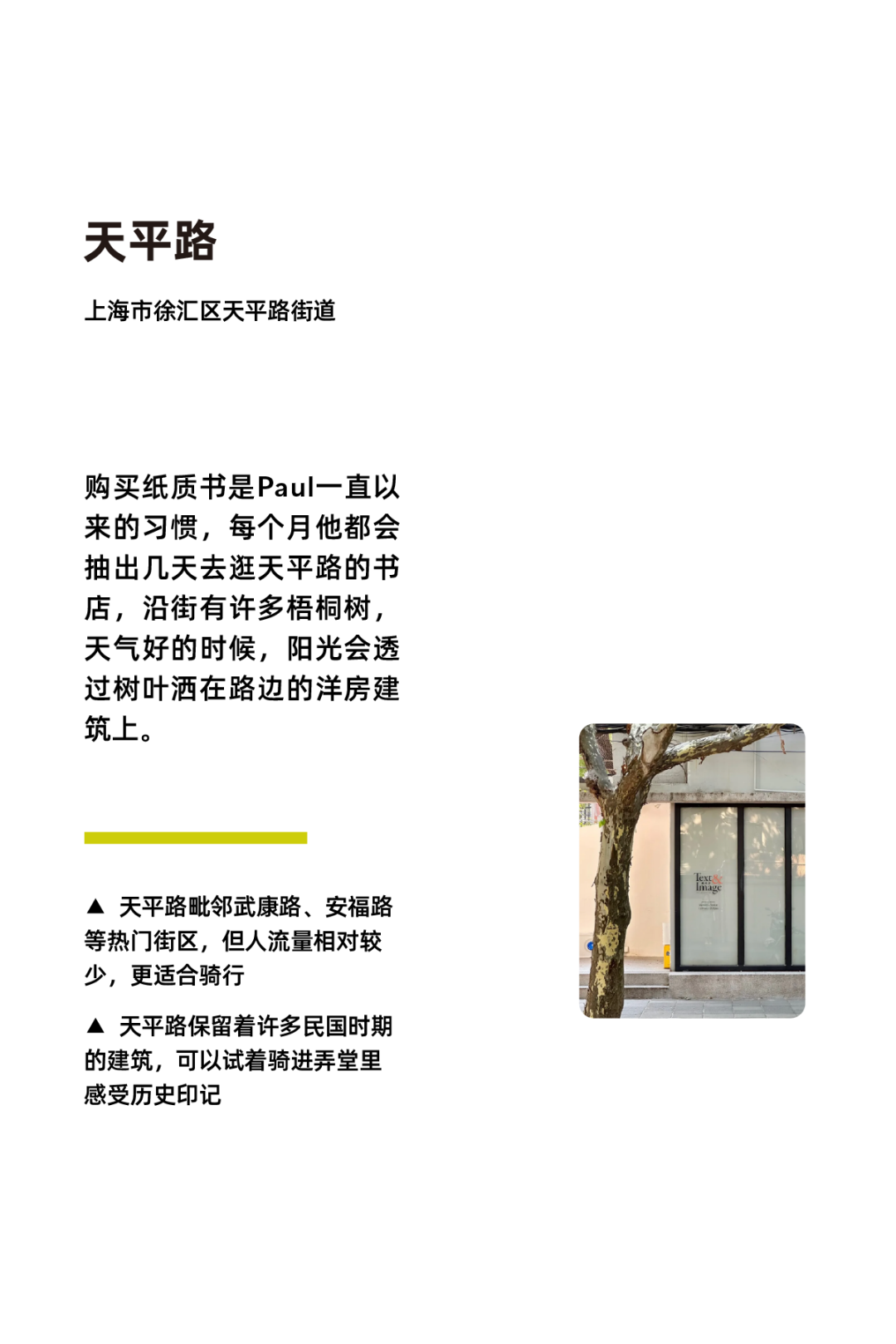 [2024-10-08]上海骑行的3种打开方式拾荒养老逛游乐场