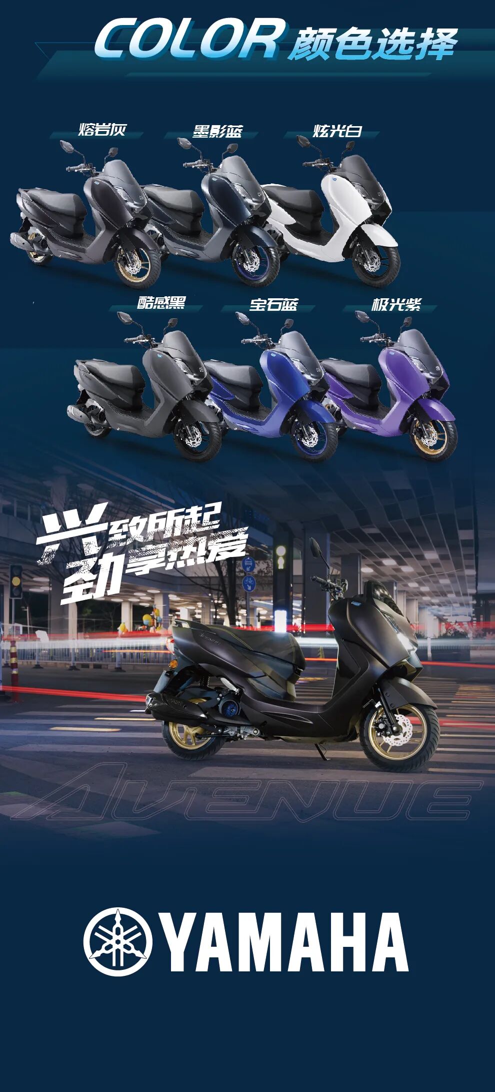 [2025-02-26]新车登场兴动之选即刻启程